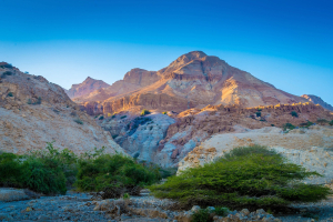 Ein Gedi Nature Reserve 